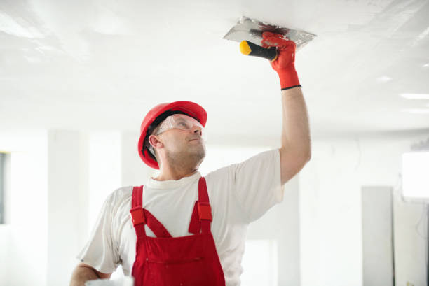 Best Commercial Painting  in West Athens, CA